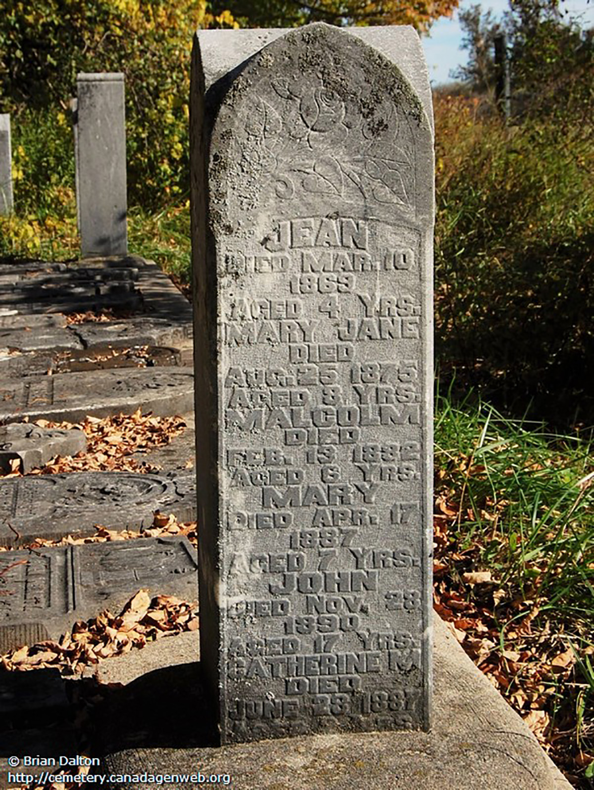 Photo of headstones/Children of Maragret McLennan and John Robertson Huron Presbyterian Cemetery, Ripley, Bruce county, Ontario, Canada